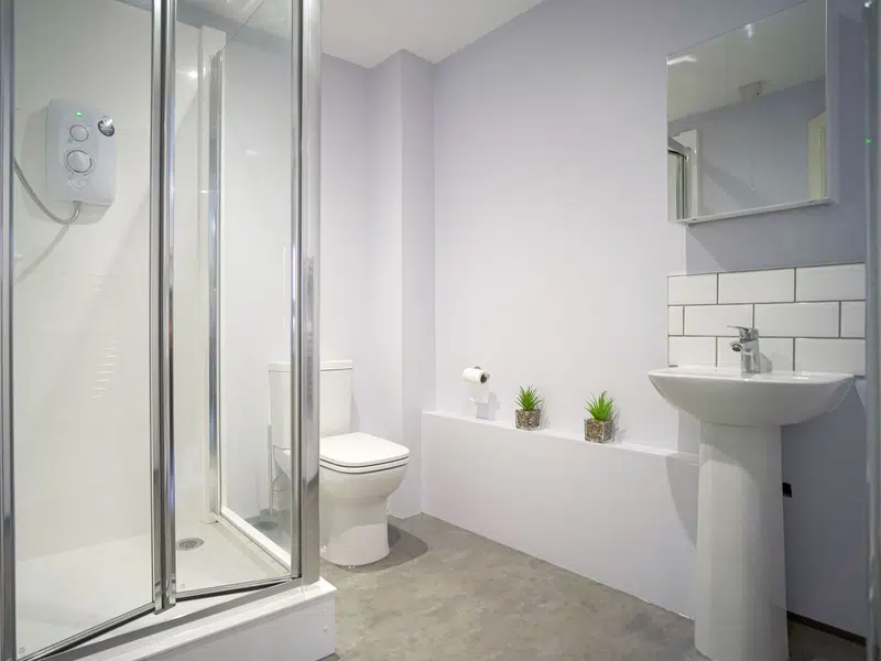 Platinum Plus Ensuite photo 4