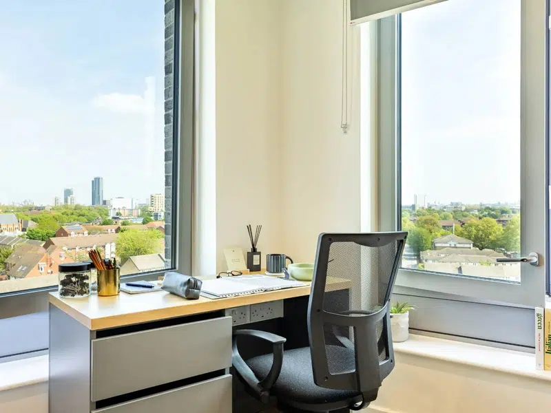 Platinum Skyline Studio photo 6