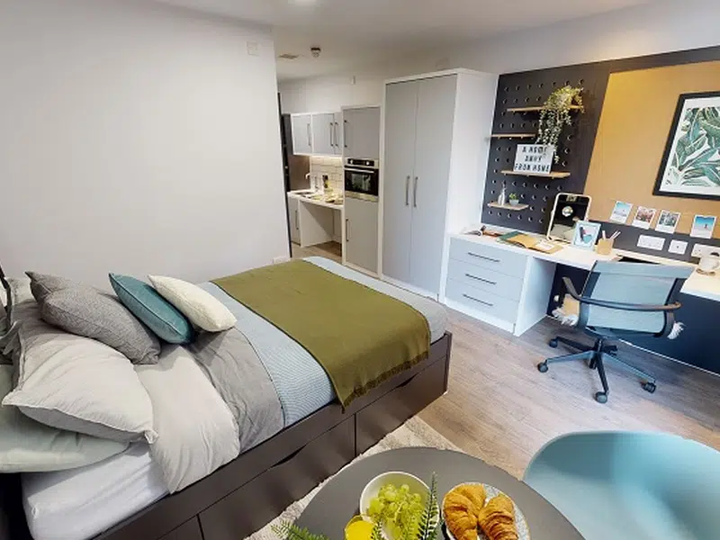 Platinum Studio Accessible photo 2