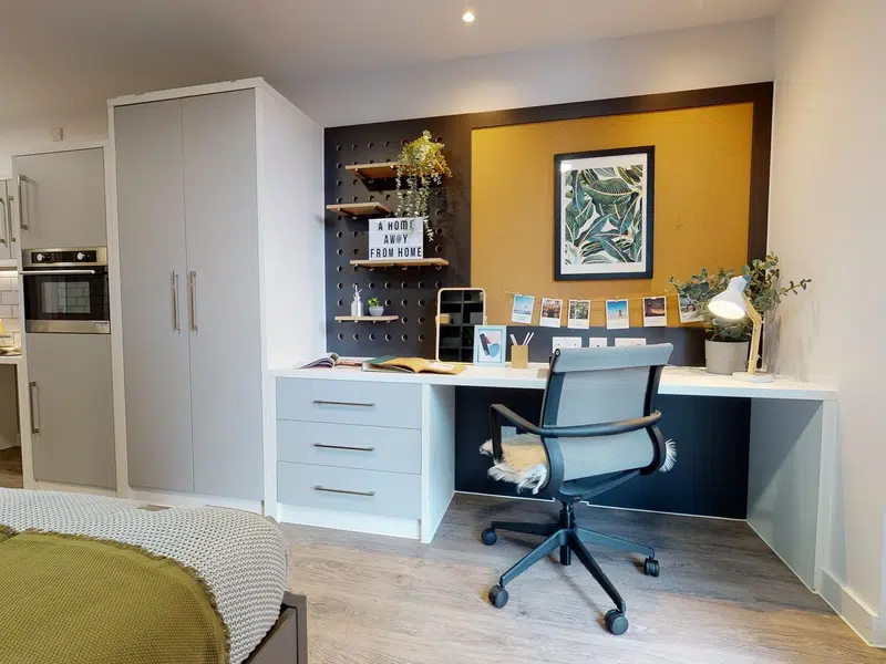 Platinum Studio Accessible photo 3