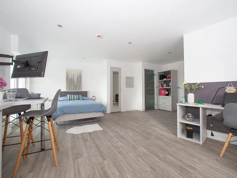 Platinum Studio photo 1