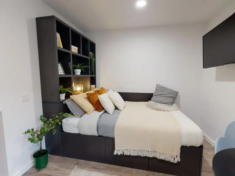 Platinum Studio Plus photo 1