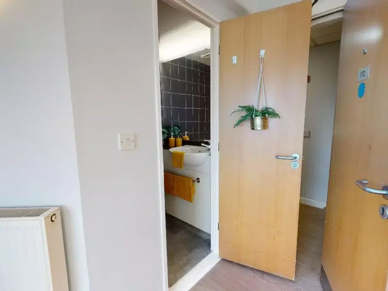 Platinum Studio Accessible photo 5