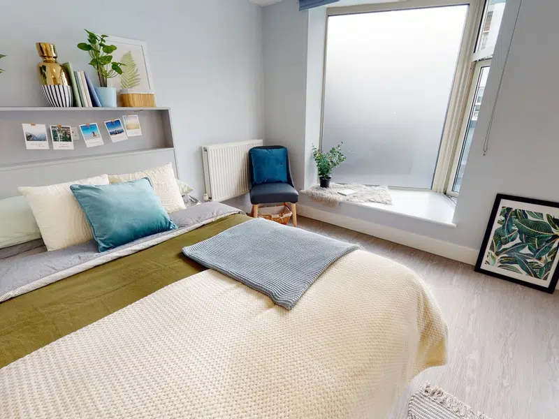 Platinum Studio Plus photo 2