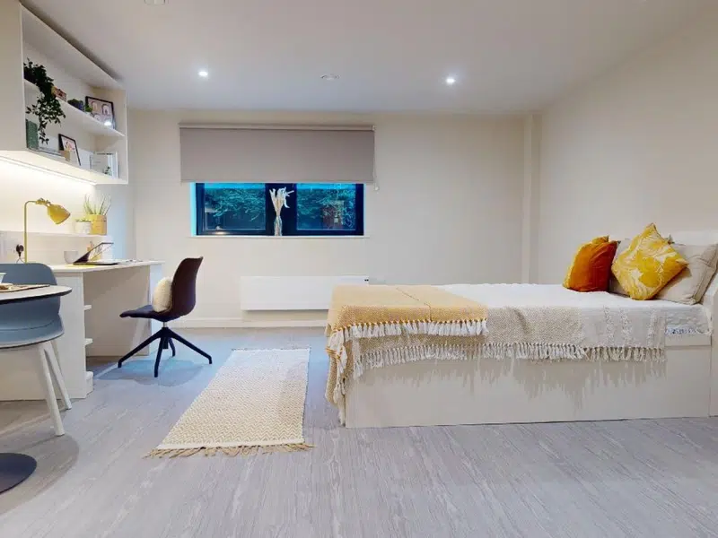 Platinum Studio Plus photo 2
