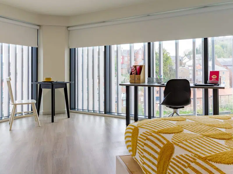 Platinum Studio River View photo 2