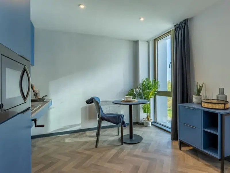 Platinum Suite - Accessible photo 3