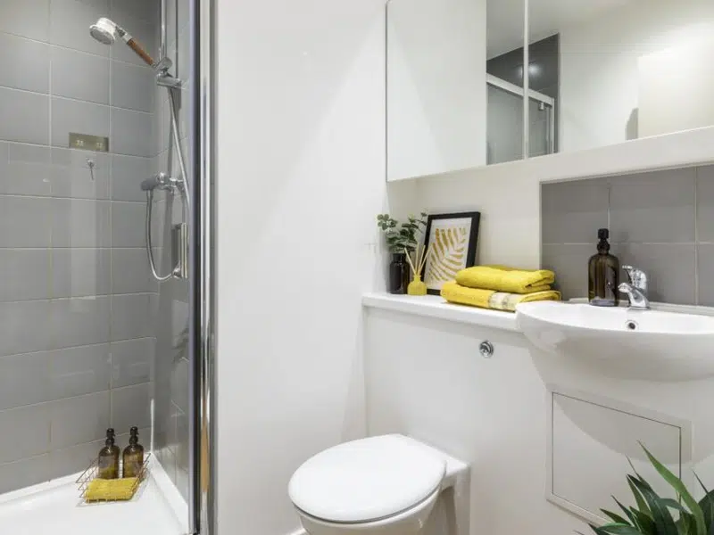 Premier En-suite in a 7 Bed photo 3