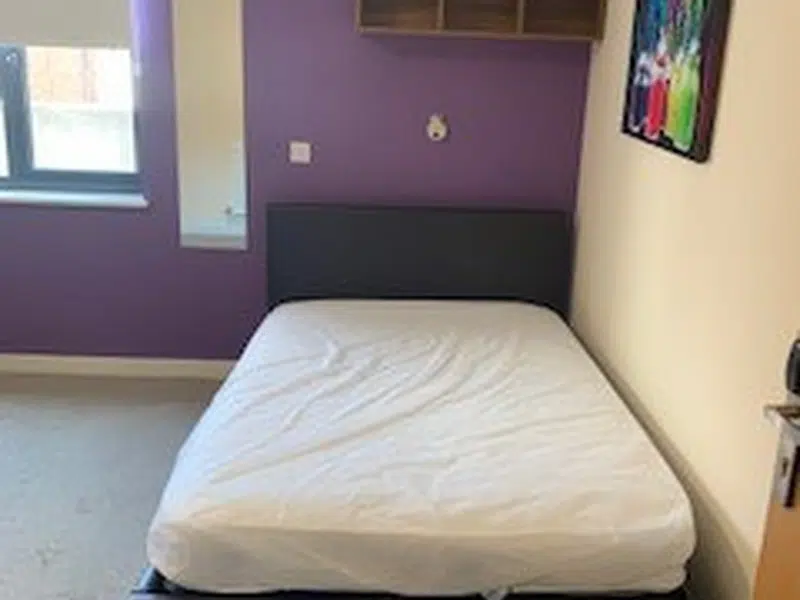 Premier Luxe En-Suite, Behn Hall photo 1