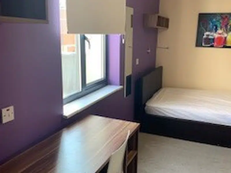 Premier Luxe En-Suite, Behn Hall photo 3