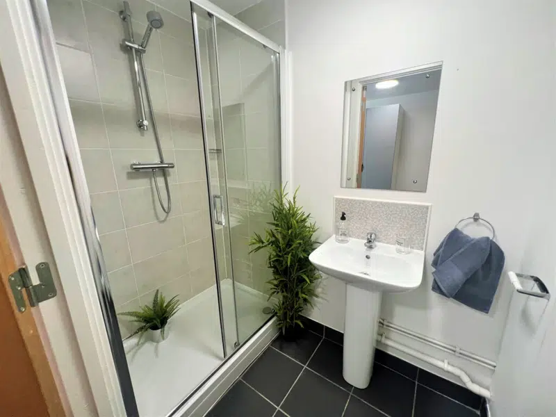 Premier Luxe Studio photo 4