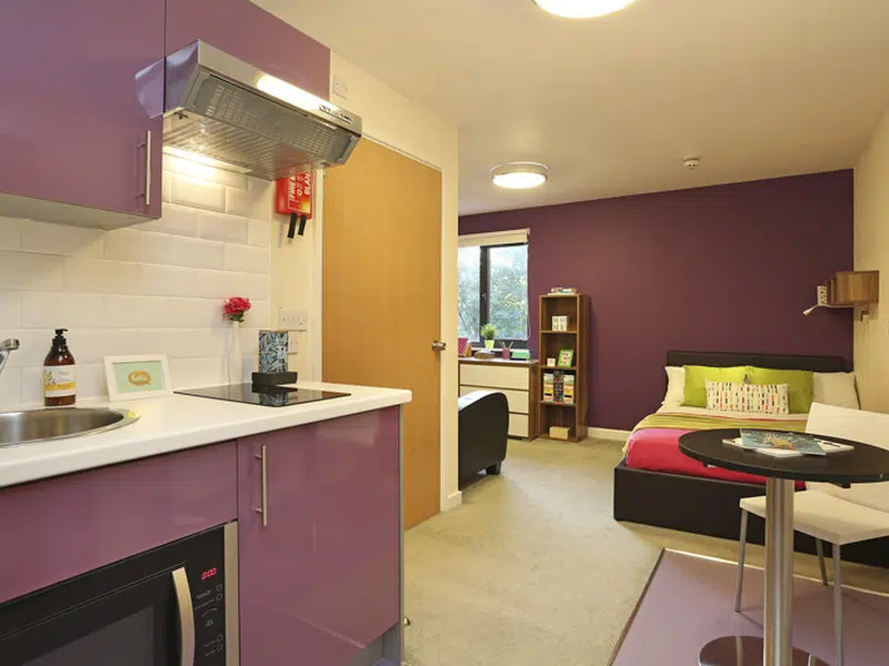Premier Luxe Studio, Tallis Court photo 2