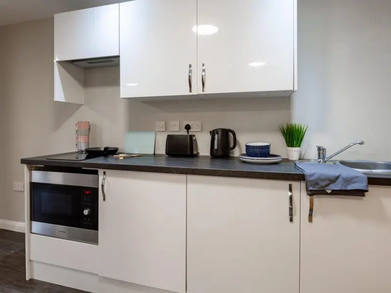Premier Studio With Accessible Bathroom photo 4