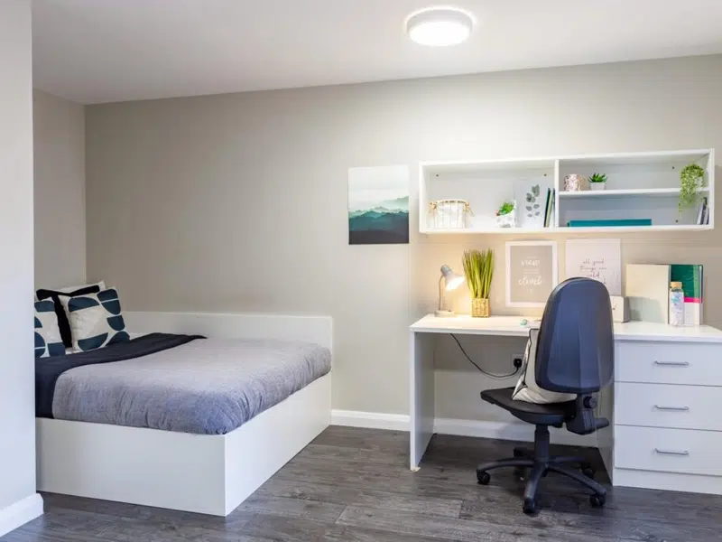Premier Studio With Accessible Bathroom photo 2