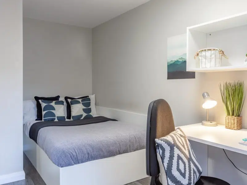 Premier Studio With Accessible Bathroom photo 3