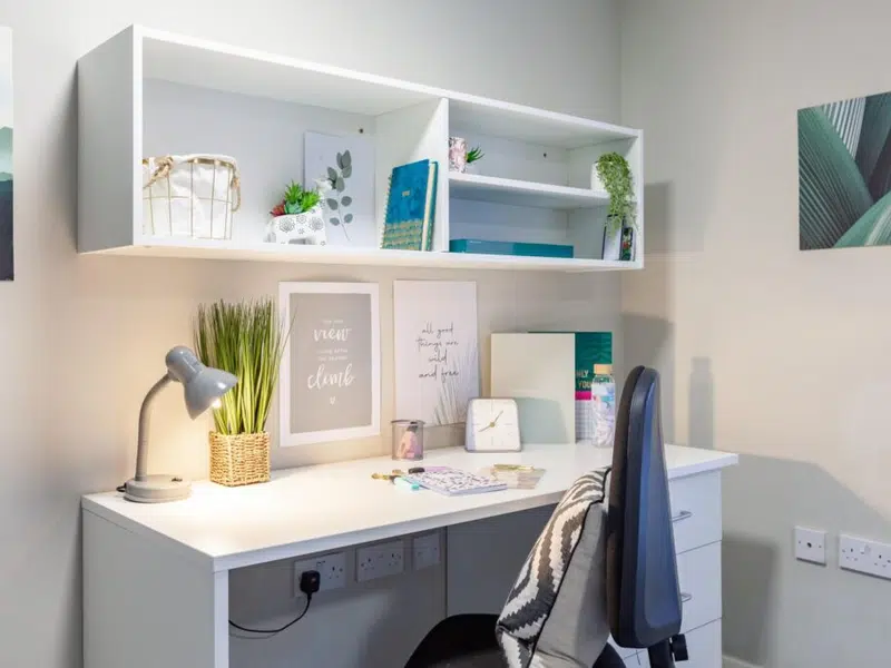 Premier Studio With Accessible Bathroom photo 6