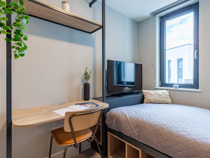 Premium 2 Bed Apartment photo 1