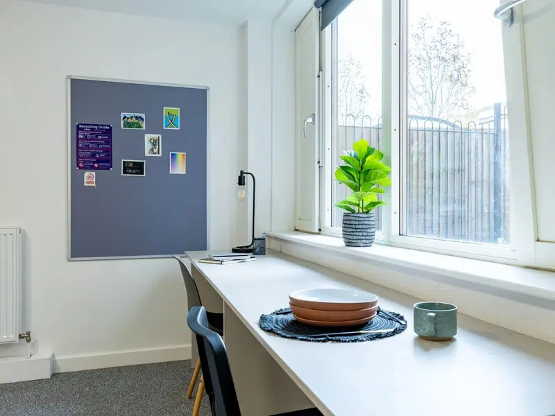 Diamond Studio photo 1