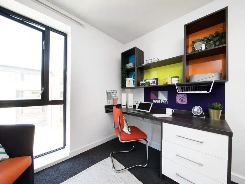 Premium Accessible Studio photo 3