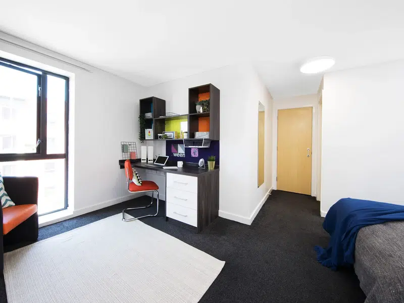 Premium Accessible Studio photo 4