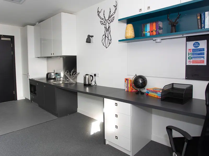 Premium Accessible Studio photo 3