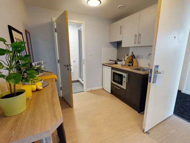 Gold 1 Bed Apartment photo 4
