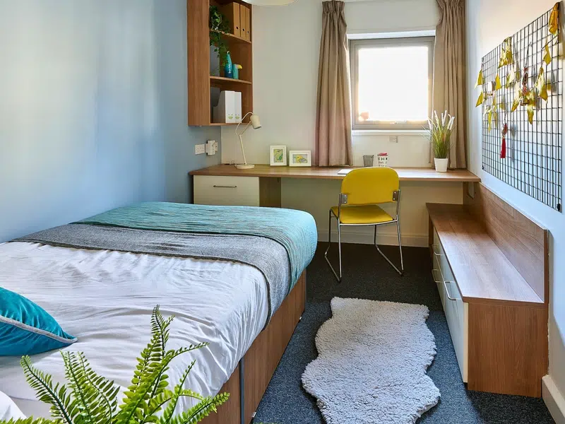 Premium En-Suite photo 3