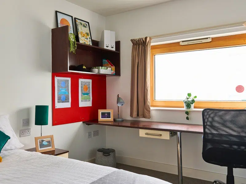 Premium En-suite photo 4