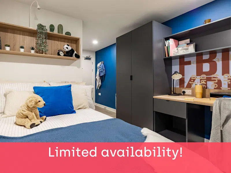 Premium En Suite photo 3