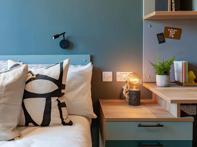 Premium En Suite City View photo 4