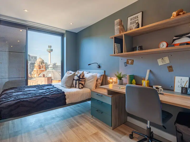 Premium En Suite City View photo 6