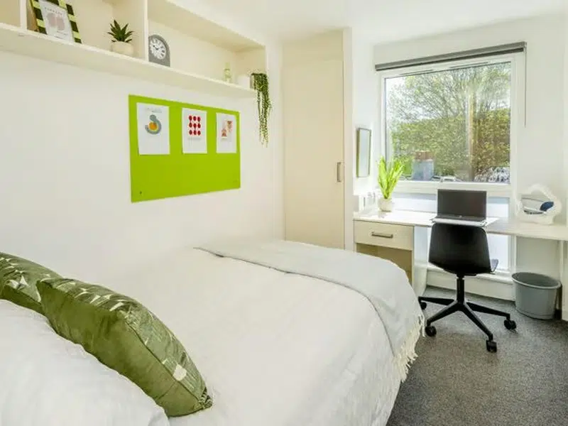 Premium Ensuite photo 4