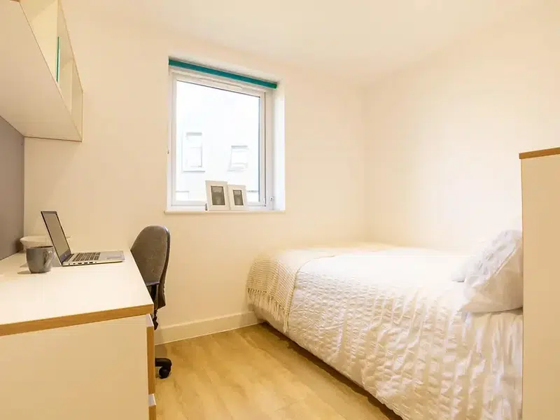 Premium Micro Studio photo 4