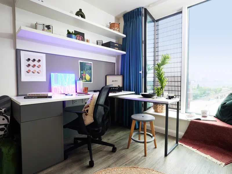 Premium Plus Studio photo 4