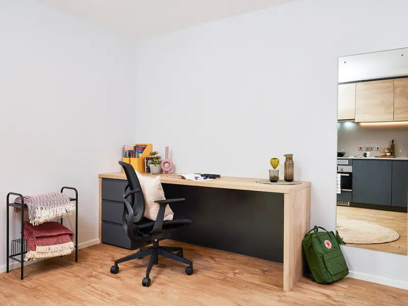 Premium Plus Studio photo 4