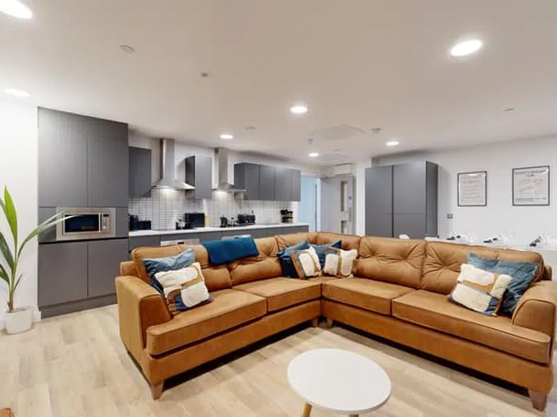 Premium Plus En-suite photo 6