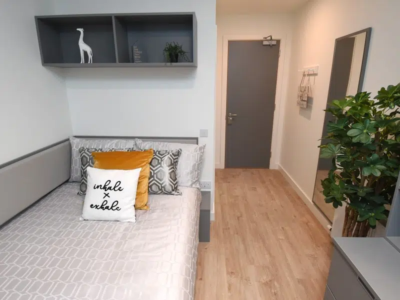 Premium Plus En Suite photo 4