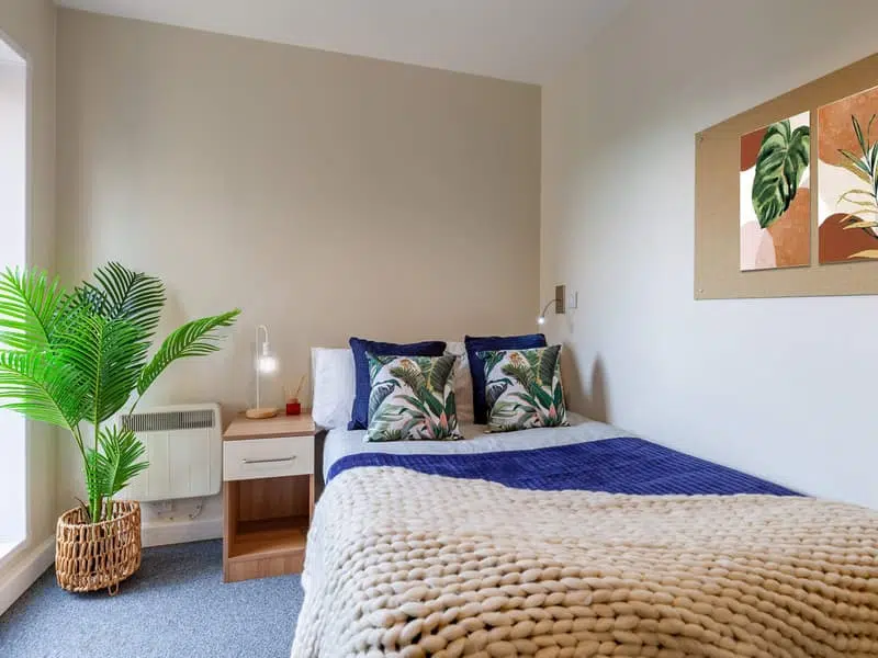 Premium Plus Ensuite photo 2