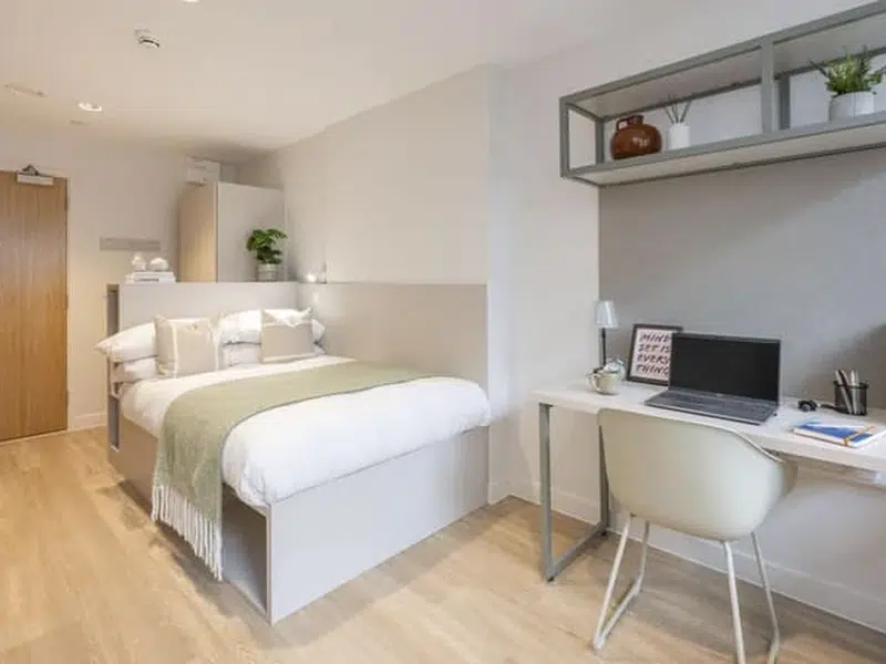 Premium Plus Ensuite photo 3