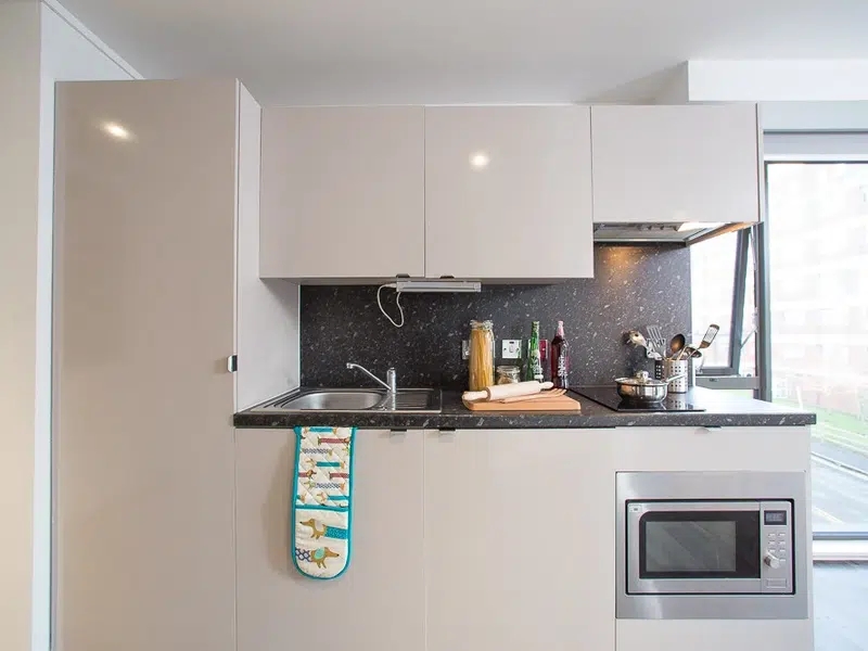 Premium Plus Penthouse photo 5