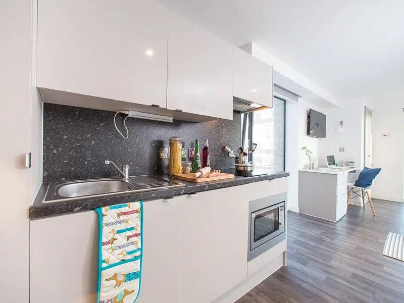 Premium Plus Penthouse photo 6