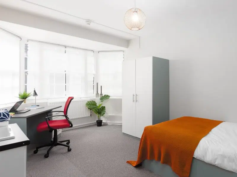 Premium Plus Room photo 4