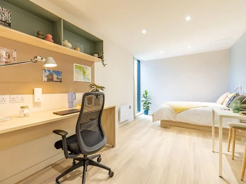 Premium Plus Studio photo 2