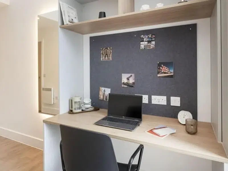 Premium Plus Studio photo 4