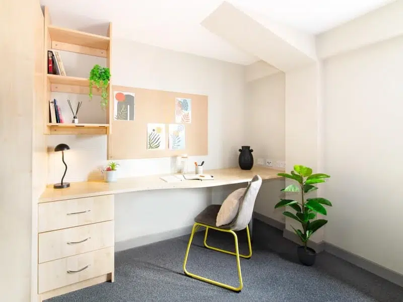 Premium Plus Studio photo 4