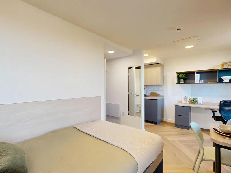 Premium Plus Studio photo 3