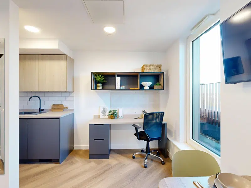 Premium Plus Studio photo 4