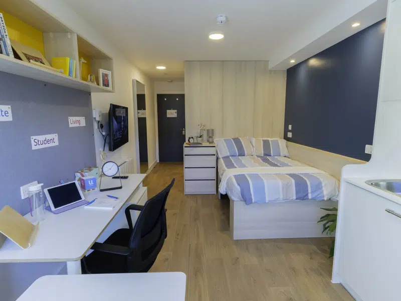Premium Plus Studio photo 1