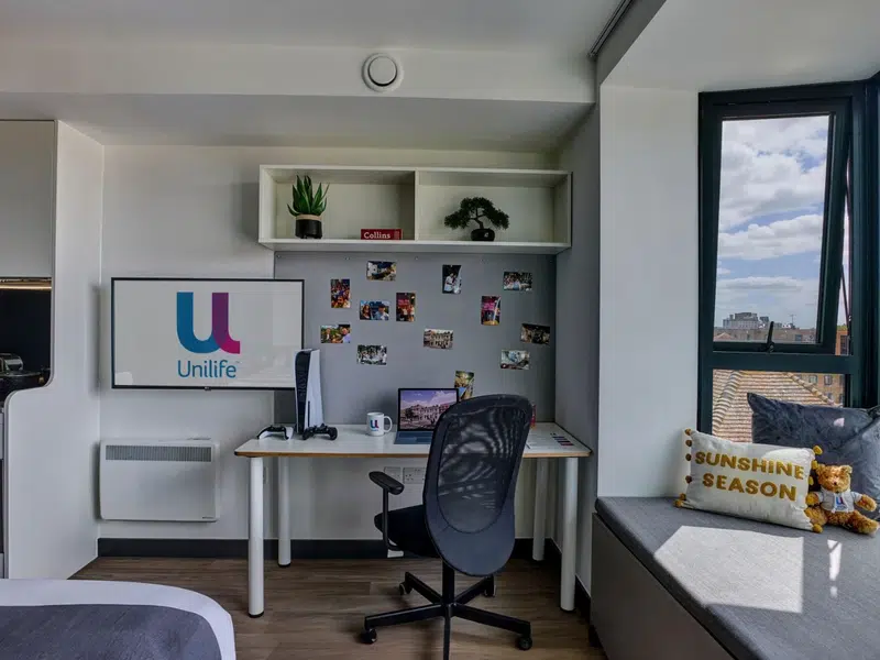 Premium Plus Studio photo 2