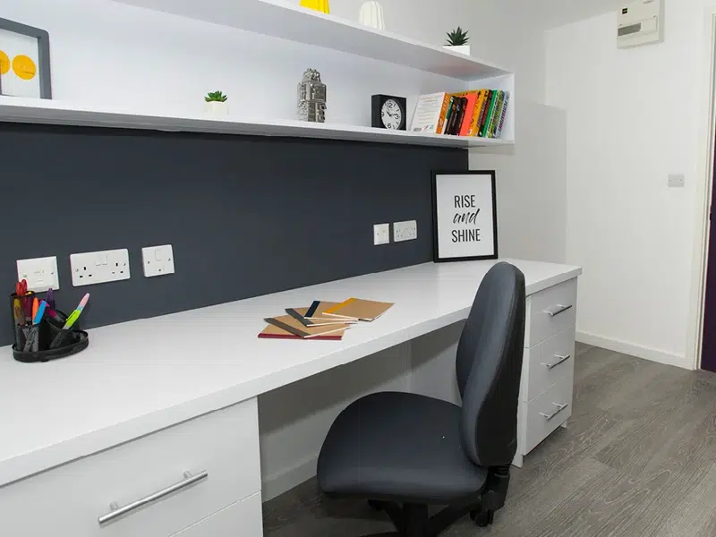 Large Standard Plus Studio photo 2